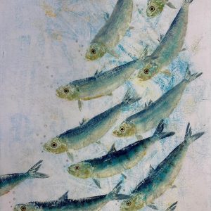A5 (single card) "Shoal waters"
