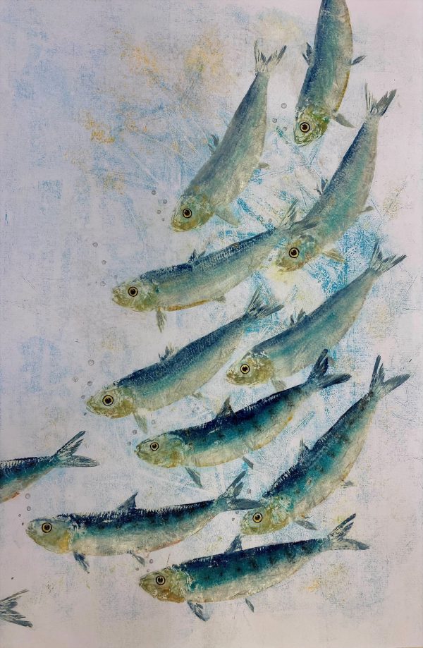 A2, A3, A4 (single poster) “Shoal waters”