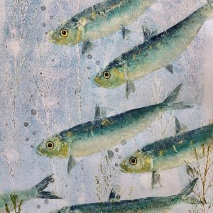 A6 card single "Sardine Serenade 1"