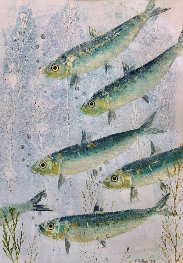 A6 card single "Sardine Serenade 1"