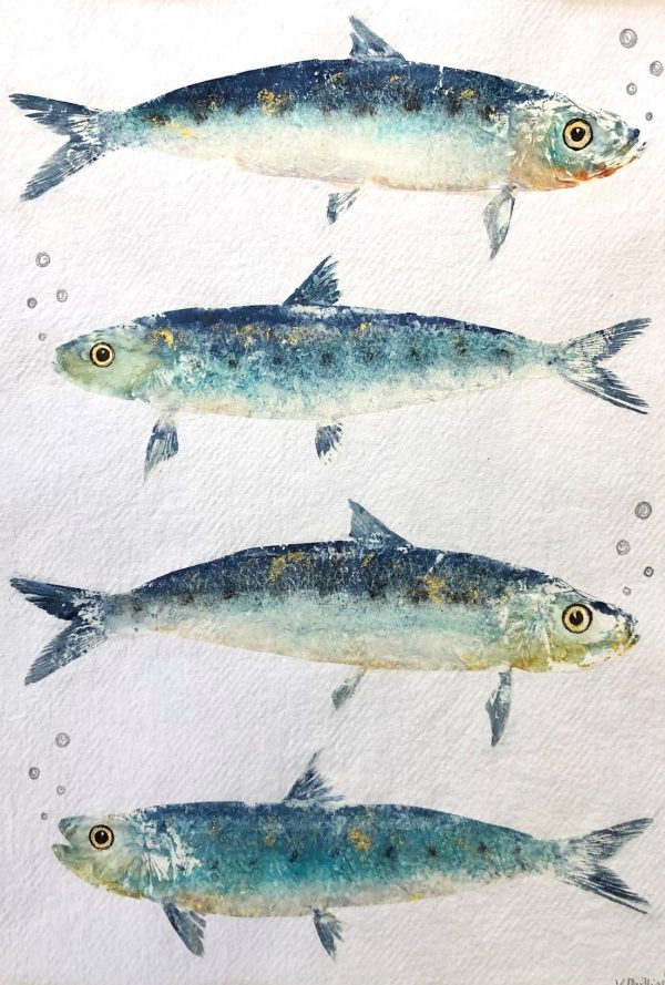 A6 card single "Sardine Serenade 4"