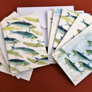 A6 card pack of 10