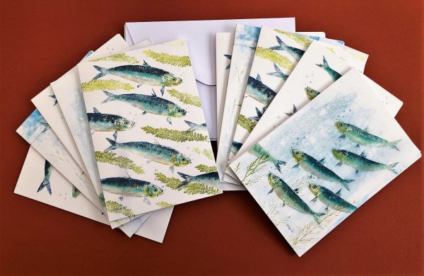 A6 card pack of 10