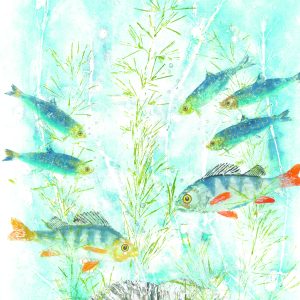 A2, A3, A4 (single print) "Clear Waters'