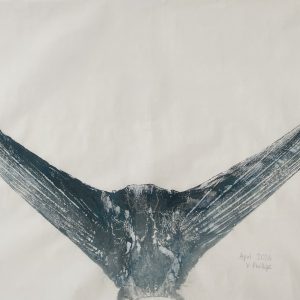 A2, A3, A4 (single print) Marlin Tail (printed in Mo'orea, Tahiti)