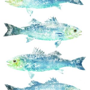 A2, A3, A4 (single print) 'Sea Bass'