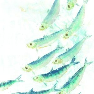 A2, A3, A4 (single print) 'Under water'